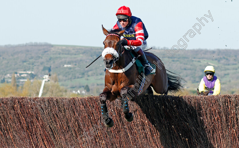 The-Nipper-0001 
 THE NIPPER (Richard Johnson) Cheltenham 19 Apr 2018 - Pic Steven Cargill / Racingfotos.com