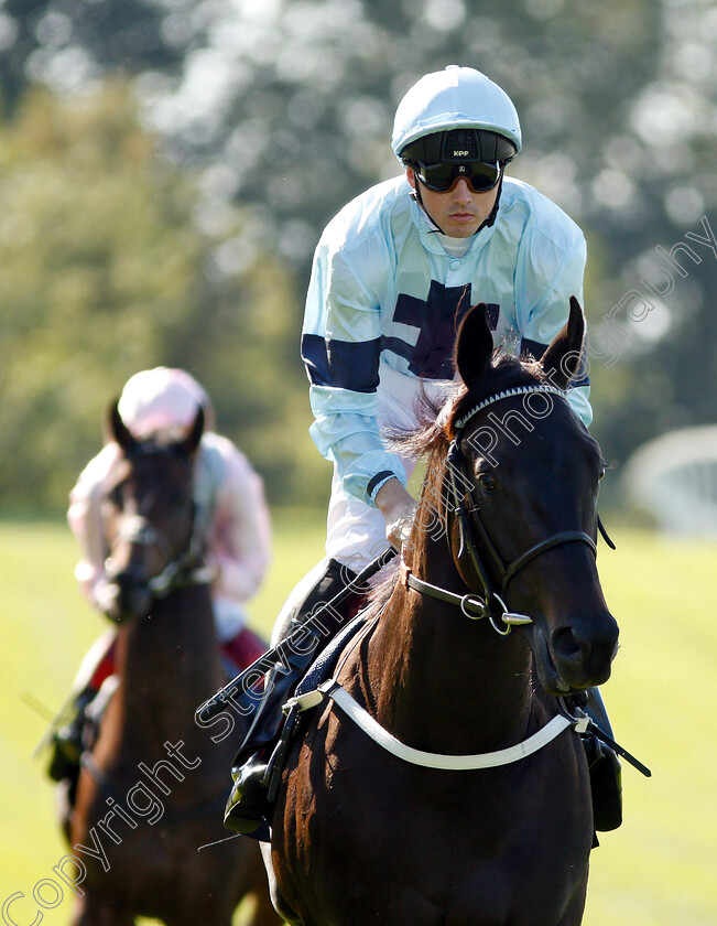 Dunkerron-0003 
 DUNKERRON (Martin Harley)
Sandown 1 Sep 2018 - PIc Steven Cargill / Racingfotos.com