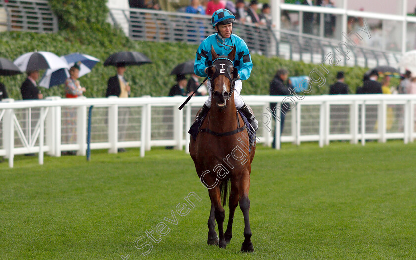 Houtzen-0001 
 HOUTZEN (Kerrin McEvoy)
Royal Ascot 18 Jun 2019 - Pic Steven Cargill / Racingfotos.com