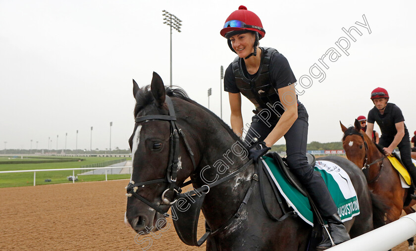 Auguste-Rodin-0003 
 AUGUSTE RODIN training for The Sheema Classic
Meydan Dubai 26 Mar 2024 - Pic Steven Cargill / Racingfotos.com