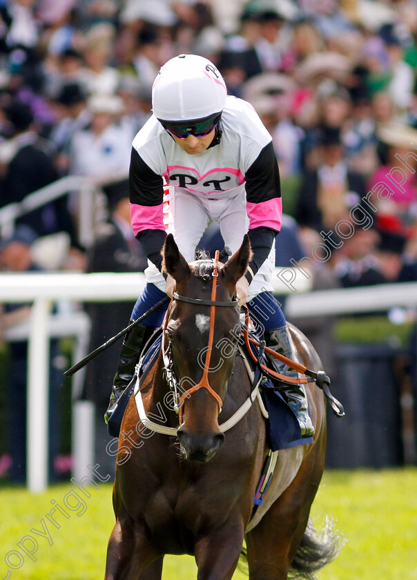 Jayvee-0001 
 JAYVEE (Chris Hayes)
Royal Ascot 21 Jun 2024 - Pic Steven Cargill / Racingfotos.com