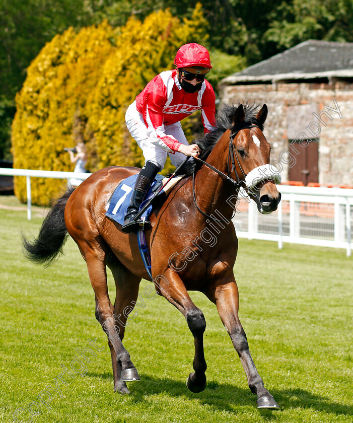 Berkshire-Phoenix-0001 
 BERKSHIRE PHOENIX (Jason Watson)
Salisbury 8 Jun 2021 - Pic Steven Cargill / Racingfotos.com