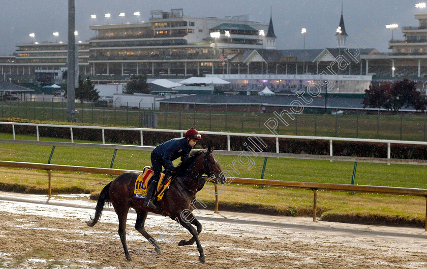 Mendelssohn-0001 
 MENDELSSOHN (Donnacha O'Brien) exercising ahead of The Breeders' Cup Classic
Churchill Downs 1 Nov 2018 - Pic Steven Cargill / Racingfotos.com