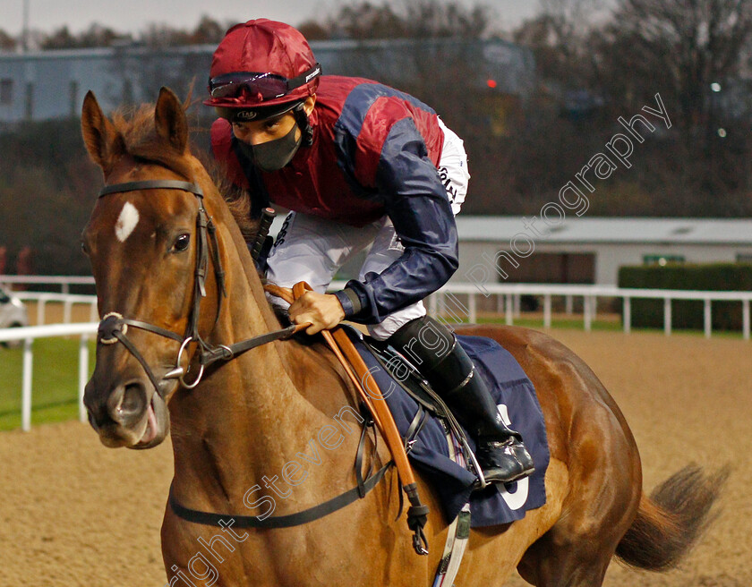 Varenna-Storm-0001 
 VARENNA STORM (Sean Levey)
Wolverhampton 24 Nov 2020 - Pic Steven Cargill / Racingfotos.com