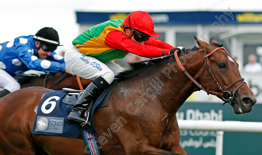 Nafees-0004 
 NAFEES (Tadhg O'Shea) wins The President Of The UAE Cup (UK Arabian Derby) Doncaster 16 Sep 2017 - Pic Steven Cargill / Racingfotos.com