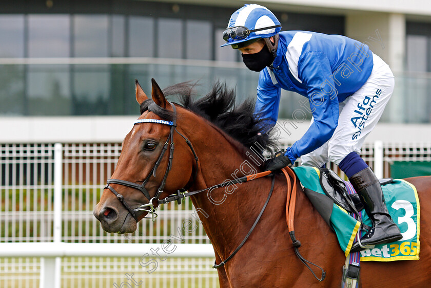 Faylaq-0002 
 FAYLAQ (Jim Crowley)
Newbury 19 Jul 2020 - Pic Steven Cargill / Racingfotos.com