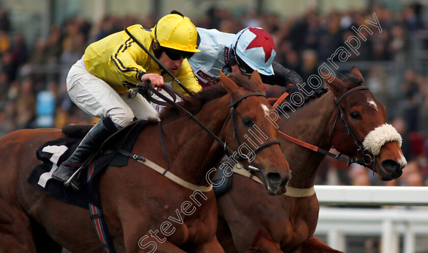 Buildmeupbuttercup-0004 
 BUILDMEUPBUTTERCUP (left, Brian Hughes) beats ROSY WORLD (right) in The Millgate Mares Standard Open National Hunt Flat Race Ascot 17 Feb 2018 - Pic Steven Cargill / Racingfotos.com