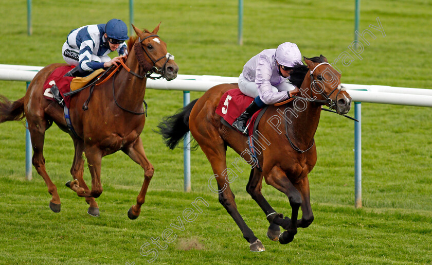 Il-Bandito-0003 
 IL BANDITO (William Buick) beats STREET KID (left) in The Betway Casino Handicap
Haydock 29 May 2021 - Pic Steven Cargill / Racingfotos.com