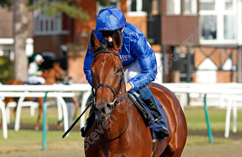 Nash-Nasha-0001 
 NASH NASHA (William Buick) winner of The Betway EBF British Stallion Studs Fillies Novice Stakes
Lingfield 5 Aug 2020 - Pic Steven Cargill / Racingfotos.com