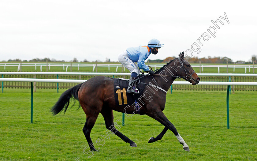 Ventura-Diamond-0001 
 VENTURA DIAMOND (Silvestre De Sousa) winner of The Irish Stallion Farms EBF Bosra Sham Fillies Stakes
Newmarket 30 Oct 2020 - Pic Steven Cargill / Racingfotos.com