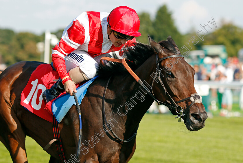 Al-Nafoorah-0004 
 AL NAFOORAH (Andrea Atzeni) wins The BetBright Casino Handicap Sandown 2 Sep 2017 - Pic Steven Cargill / Racingfotos.com