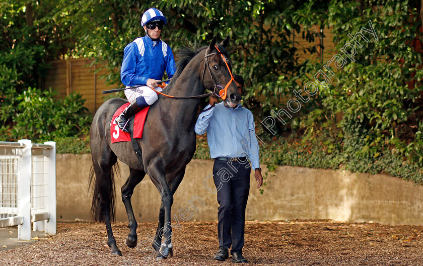 Alkhalifa-0001 
 ALKHALIFA (Jim Crowley) Sandown 2 Sep 2017 - Pic Steven Cargill / Racingfotos.com