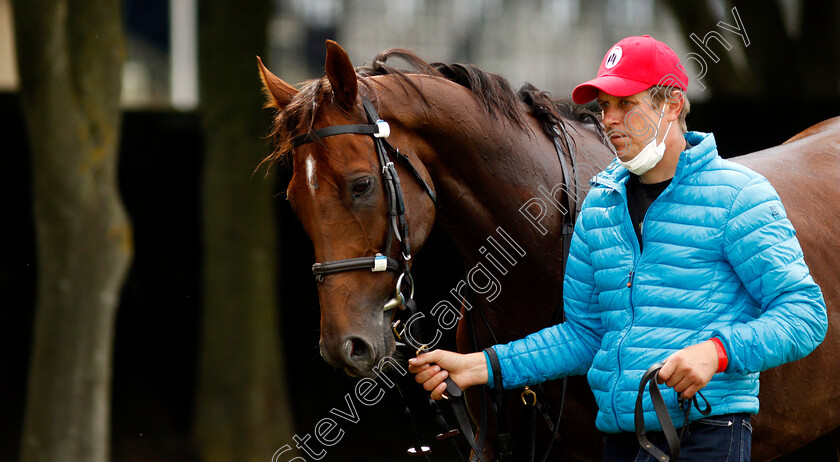 Addeybb-0008 
 ADDEYBB after working in preparation for next week's Eclipse Stakes
Newmarket 25 Jun 2021 - Pic Steven Cargill / Racingfotos.com