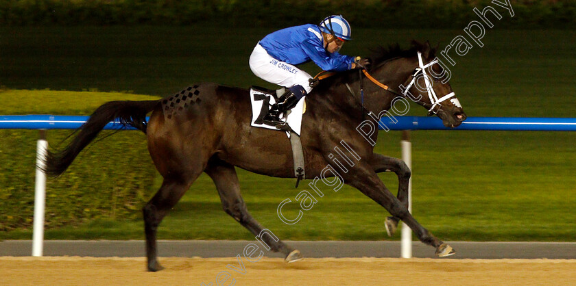 Muntazah-0005 
 MUNTAZAH (Jim Crowley) wins The Firebreak Stakes
Meydan 14 Feb 2019 - Pic Steven Cargill / Racingfotos.com