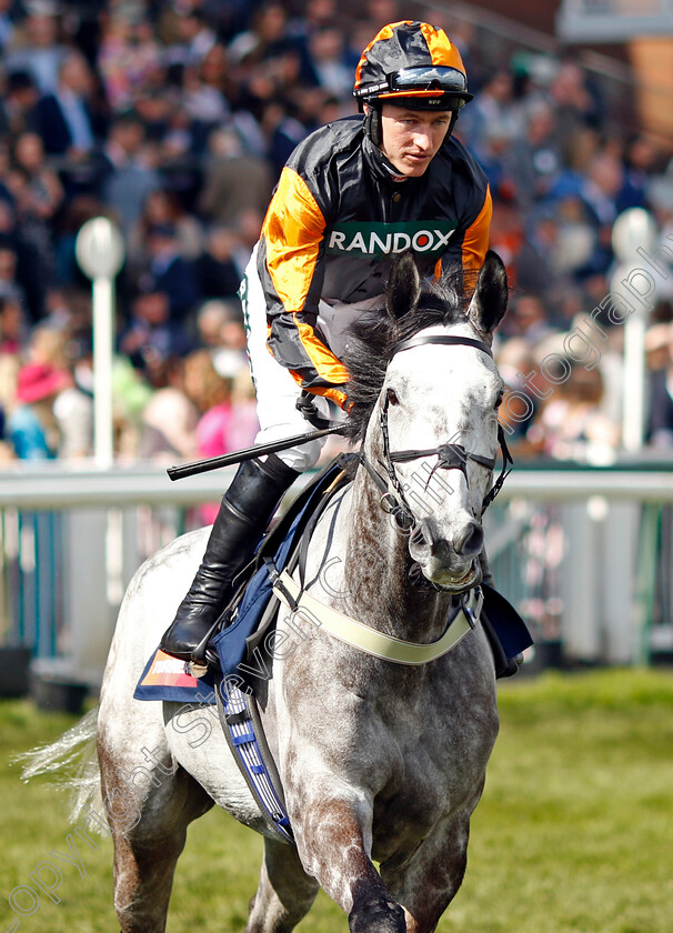 Hallwood-0001 
 HALLWOOD (Adam Wedge)
Aintree 15 Apr 2023 - Pic Steven Cargill / Racingfotos.com