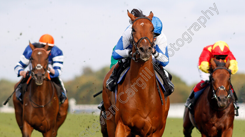 Protected-Guest-0001 
 PROTECTED GUEST (Tom Queally)
Ascot 6 Sep 2019 - Pic Steven Cargill / Racingfotos.com