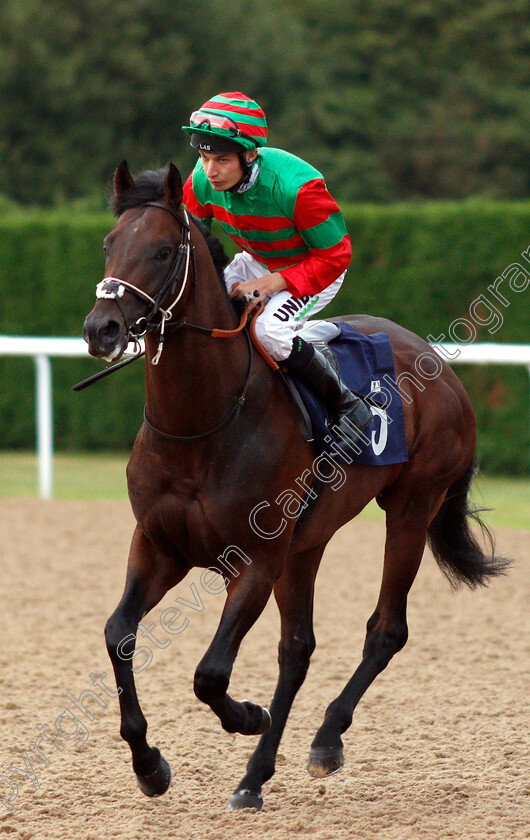 Aljari-0001 
 ALJARI (Luke Morris) winner of The Wolverhampton Holiday Inn Novice Stakes
Wolverhampton 17 Jul 2019 - Pic Steven Cargill / Racingfotos.com