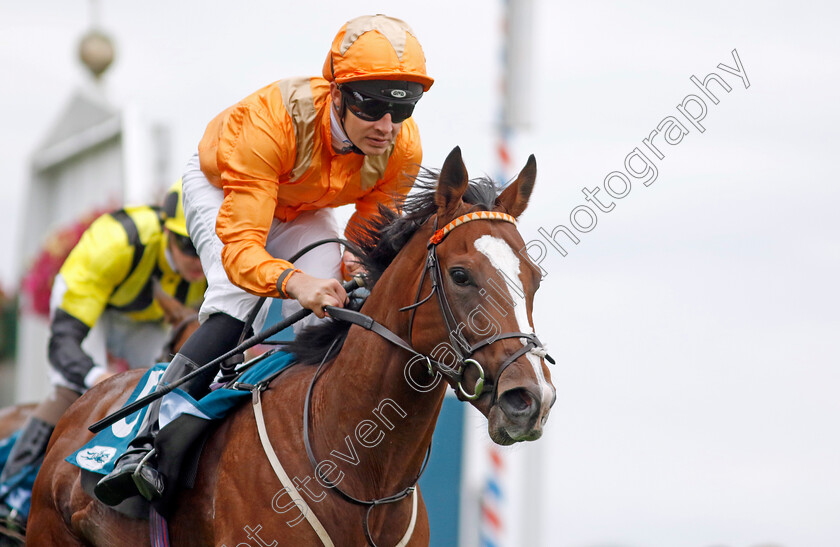 Streets-Of-Gold-0005 
 STREETS OF GOLD (Charles Bishop) wins The Sky Bet Nursery
York 17 Aug 2022 - Pic Steven Cargill / Racingfotos.com