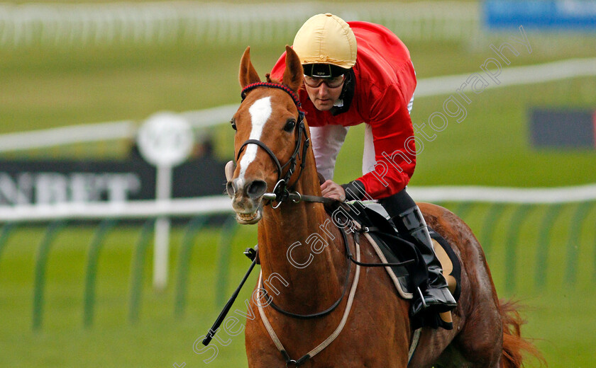 Awake-My-Soul-0007 
 AWAKE MY SOUL (Tom Queally) wins The Play 3-2-Win At Mansionbet Handicap
Newmarket 30 Oct 2020 - Pic Steven Cargill / Racingfotos.com