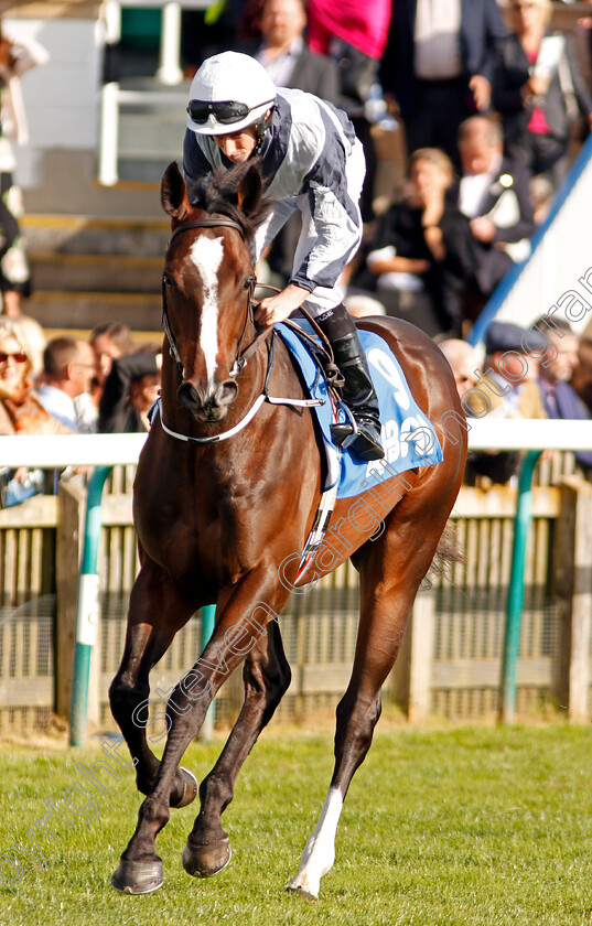 Zabriskie-0001 
 ZABRISKIE (Ryan Moore) Newmarket 14 Oct 2017 - Pic Steven Cargill / Racingfotos.com