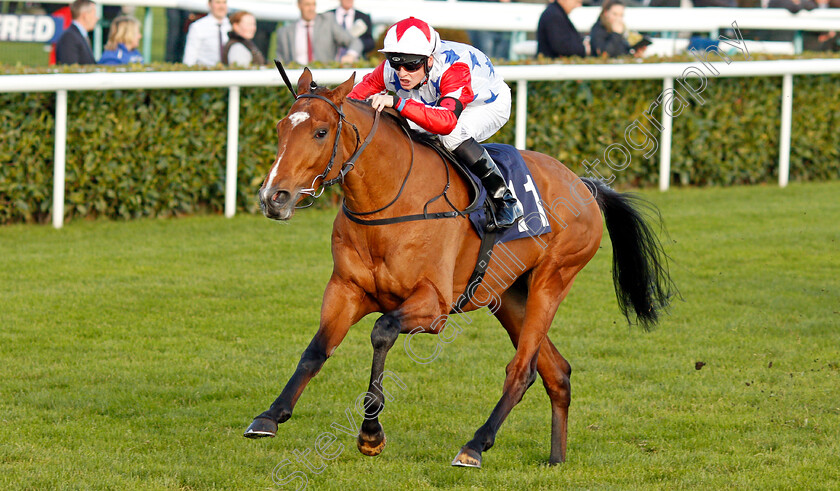 What s-The-Story-0004 
 WHAT'S THE STORY (Callum Rodriguez) wins The Betfred Home Of Goals Galore Apprentice Handicap Doncaster 11 Nov 2017 - Pic Steven Cargill / Racingfotos.com