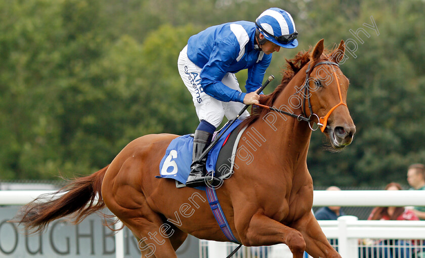 Hamseh-0002 
 HAMSEH (Jim Crowley)
Salisbury 2 Sep 2021 - Pic StevenCargill / Racingfotos.com