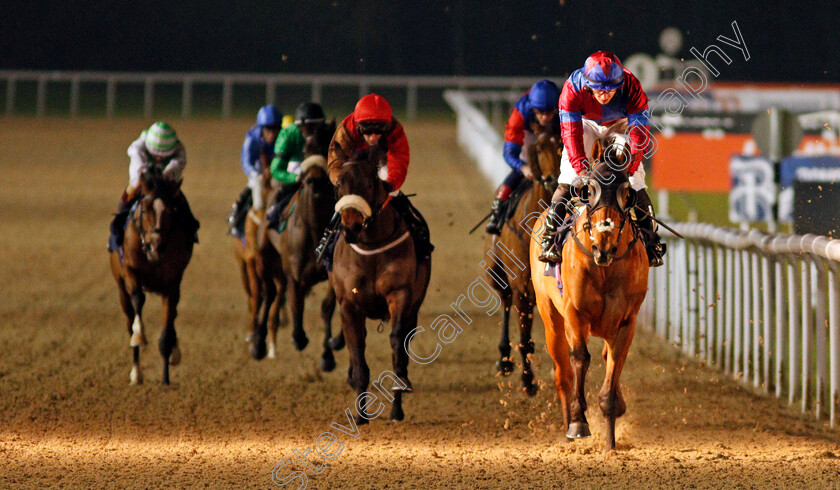 Power-Of-States-0002 
 POWER OF STATES (Tom Marquand) wins The Betway Handicap
Wolverhampton 18 Jan 2021 - Pic Steven Cargill / Racingfotos.com