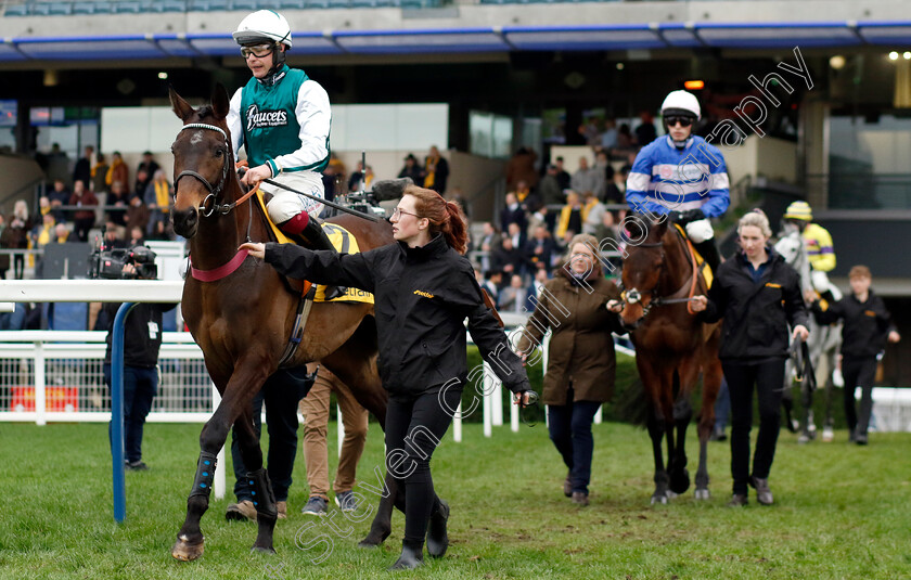 L Homme-Presse-0003 
 L'HOMME PRESSE (Charlie Deutsch)
Ascot 17 Feb 2024 - Pic Steven Cargill / Racingfotos.com