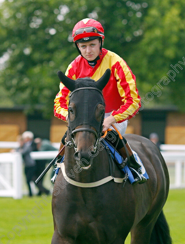 Bare-Grils-0001 
 BARE GRILS (Adam Farragher)
Salisbury 12 Aug 2021 - Pic Steven Cargill / Racingfotos.com