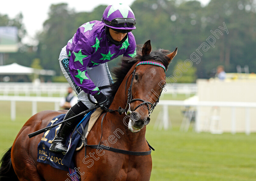 Navello-0001 
 NAVELLO (Nicola Currie)
Ascot 17 Jun 2021 - Pic Steven Cargill / Racingfotos.com