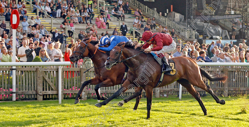 Middle-Earth-0002 
 MIDDLE EARTH (right, Cieren Fallon) beats NAQEEB (left) in The British Stallion Studs EBF Novice Stakes
Newmarket 28 Jul 2023 - Pic Steven Cargill / Racingfotos.com