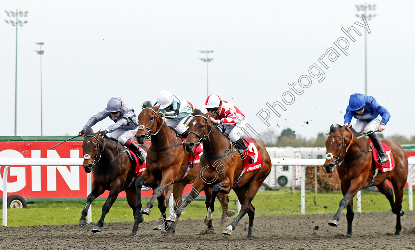 Auric-0002 
 AURIC (left, Oisin Murphy) beats HARRY DID (2nd left) and BOADICIA (centre) in The Virgin Bet Restricted Novice Stakes
Kempton 6 Apr 2024 - Pic Steven Cargill / Racingfotos.com