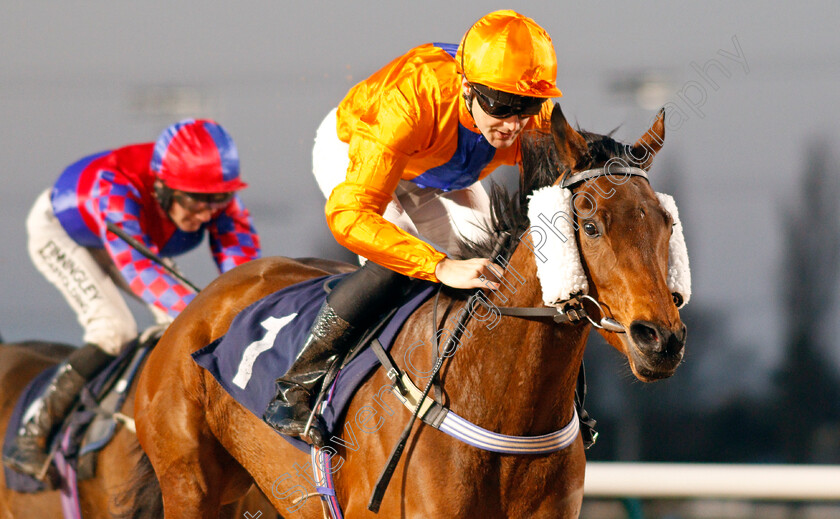 Crazy-Spin-0004 
 CRAZY SPIN (David Nolan) wins The Bombardier Golden Beer Handicap
Southwell 15 Jan 2020 - Pic Steven Cargill / Racingfotos.com