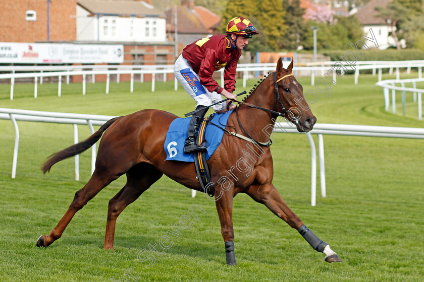 Carvetii-0001 
 CARVETII (Harrison Shaw)
Leicester 29 Apr 2023 - Pic Steven Cargill / Racingfotos.com