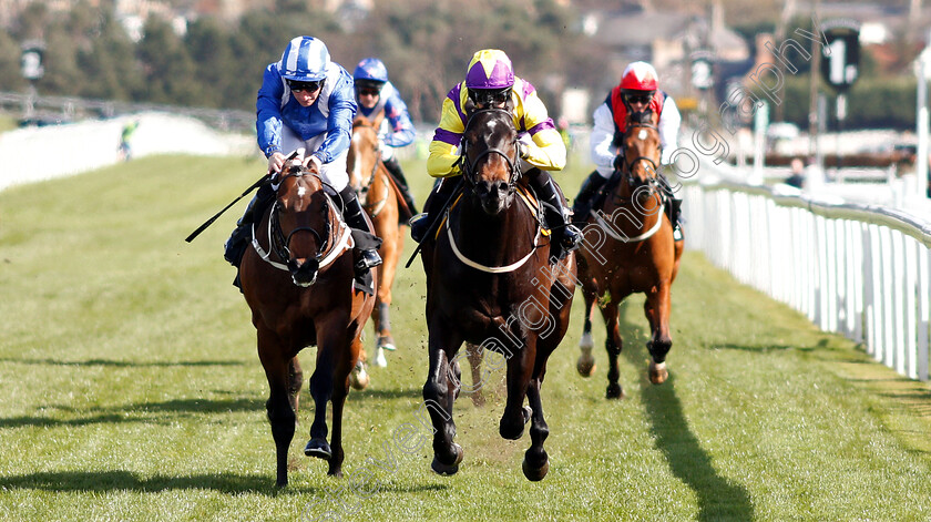 Proper-Beau-0002 
 PROPER BEAU (right, Graham Lee) beats ALMINOOR (left) in The Watch Racing TV Now Novice Stakes
Musselburgh 2 Apr 2019 - Pic Steven Cargill / Racingfotos.com