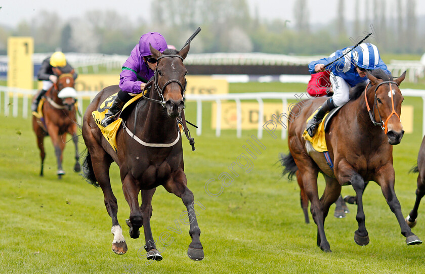 Dan s-Dream-0001 
 DAN'S DREAM (left, Silvestre De Sousa) beats TAJAANUS (right) in The Dubai Duty Free Fred Darling Stakes Newbury 21 Apr 2018 - Pic Steven Cargill / Racingfotos.com