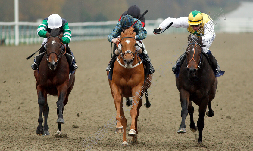 Silca-Mistress-0004 
 SILCA MISTRESS (centre, David Probert) beats HUMAN NATURE (right) and DRAKEFELL (left) in The Betway Sprint Handicap
Lingfield 20 Nov 2018 - Pic Steven Cargill / Racingfotos.com