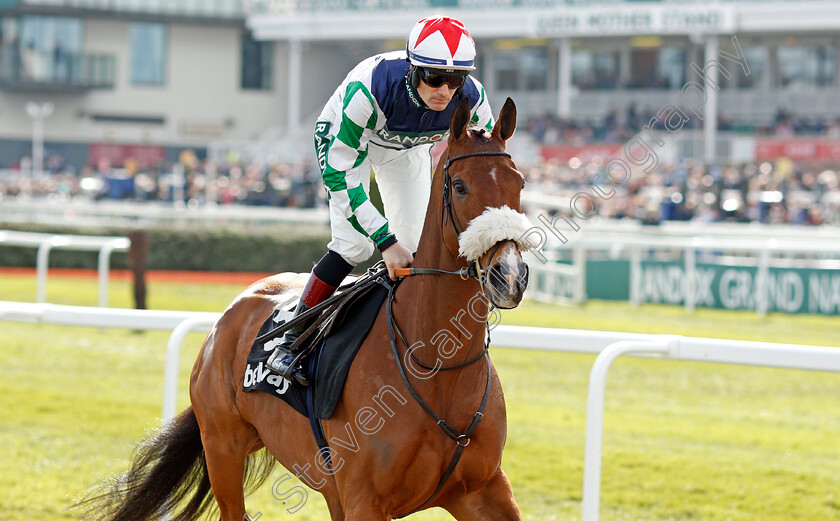 Exelerator-Express-0002 
 EXELERATOR EXPRESS (Sam Twiston-Davies)
Aintree 9 Apr 2022 - Pic Steven Cargill / Racingfotos.com