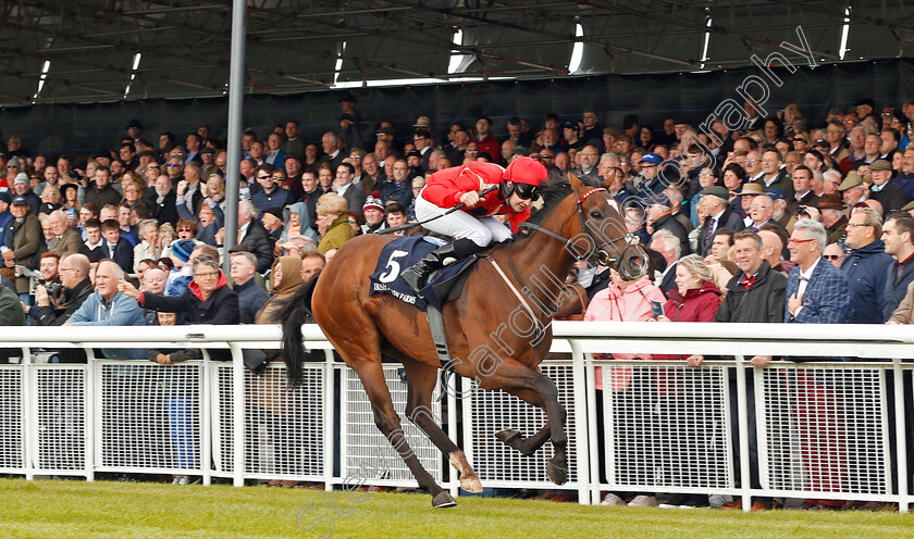 Ice-Age-0002 
 ICE AGE (Charlie Bishop) wins The Irish Stallion Farms EBF Bold Lad Sprint Handicap Curragh 10 Sep 2017 - Pic Steven Cargill / Racingfotos.com