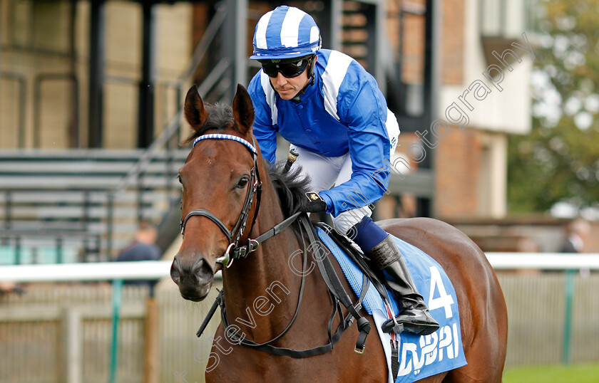 Azaheer 
 AZAHEER (Jim Crowley)
Newmarket 8 Oct 2021 - Pic Steven Cargill / Racingfotos.com