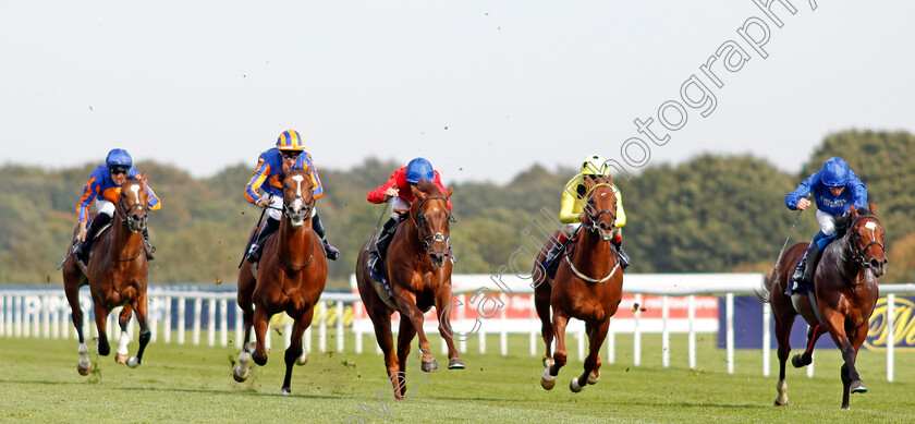 Threat-0002 
 THREAT (centre, Pat Dobbs) beats ROYAL CRUSADE (right) in The Pommery Champagne Stakes
Doncaster 14 Sep 2019 - Pic Steven Cargill / Racingfotos.com