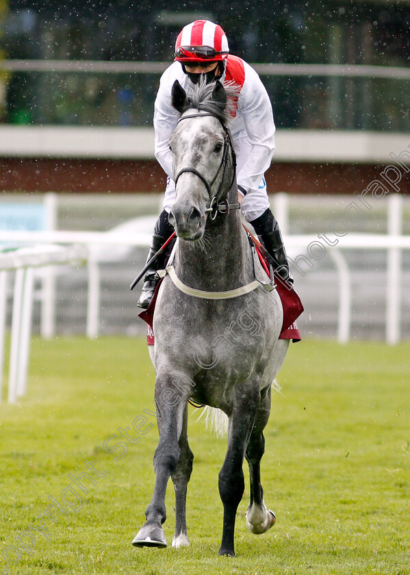 Top-Rank-0002 
 TOP RANK (P J McDonald)
Newbury 15 May 2021 - Pic Steven Cargill / Racingfotos.com