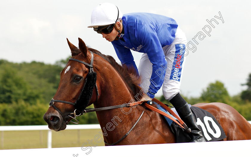 Race-Day-0001 
 RACE DAY (David Probert)
Chelmsford 13 Jun 2018 - Pic Steven Cargill / Racingfotos.com