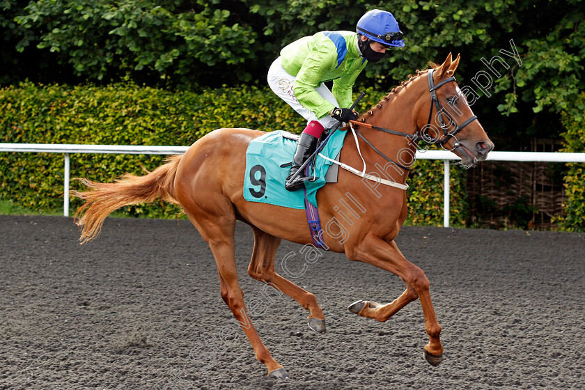 Value-Theory-0001 
 VALUE THEORY (Oisin Murphy)
Kempton 30 Jun 2021 - Pic Steven Cargill / Racingfotos.com