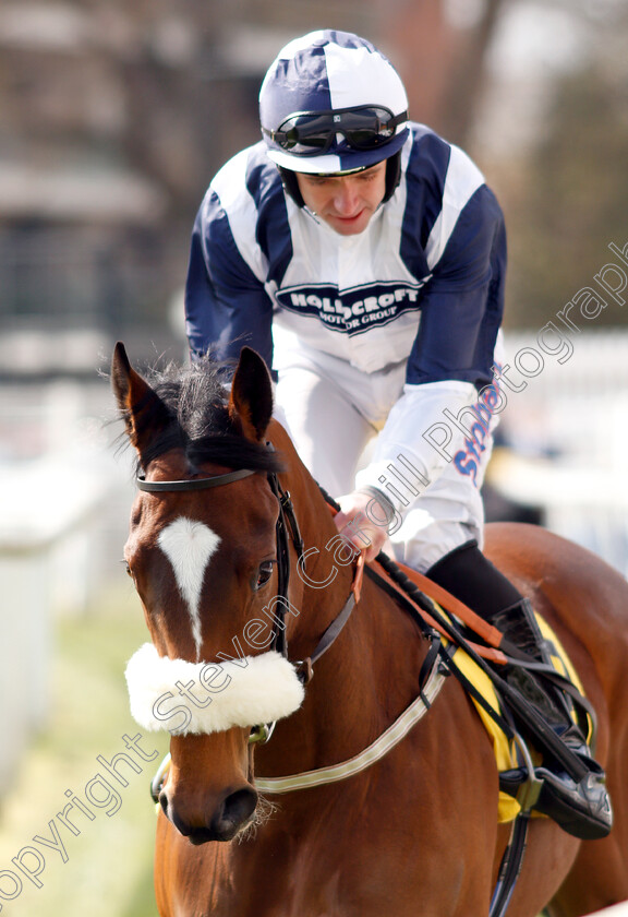 Glass-Slippers-0001 
 GLASS SLIPPERS (Tom Eaves)
Newbury 13 Apr 2019 - Pic Steven Cargill / Racingfotos.com