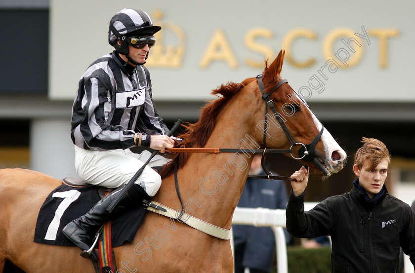 High-Up-In-The-Air-0001 
 HIGH UP IN THE AIR (Marc Goldstein)
Ascot 21 Dec 2018 - Pic Steven Cargill / Racingfotos.com