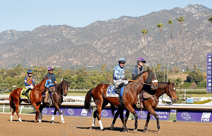 Street-To-Indy-0001 
 STREET TO INDY (Tyler Baze) 
Santa Anita 1 Nov 2019 - Pic Steven Cargill / Racingfotos.com