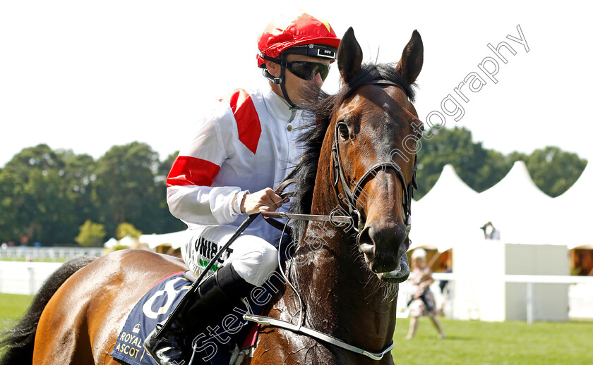 Ruler-Legend-0002 
 RULER LEGEND (Jamie Spencer)
Royal Ascot 15 Jun 2022 - Pic Steven Cargill / Racingfotos.com