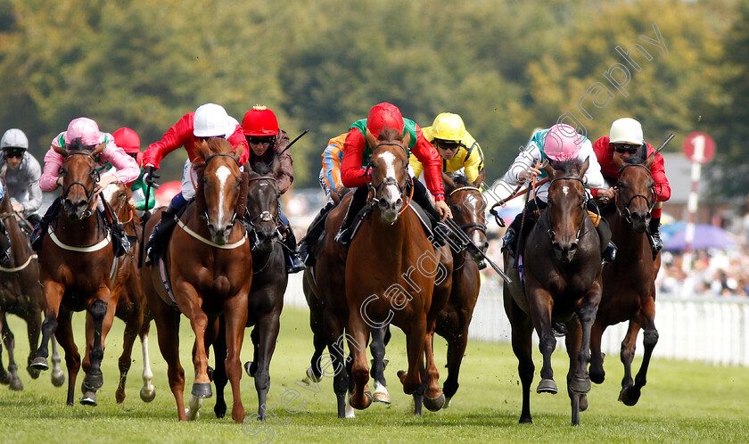 Billesdon-Brook-0003 
 BILLESDON BROOK (centre, Sean Levey) beats PERFECTION (left) and JUBILOSO (right) in The Theo Fennell Oak Tree Stakes
Goodwood 2 Aug 2019 - Pic Steven Cargill / Racingfotos.com