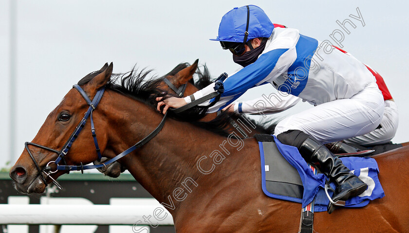 Spirited-Guest-0003 
 SPIRITED GUEST (Tom Queally) wins The Unibet Casino Deposit £10 Get £40 Bonus Handicap
Kempton 2 Jun 2021 - Pic Steven Cargill / Racingfotos.com